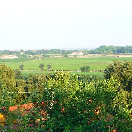 Agriturismo Lupo Bianco Monzambano Dış mekan fotoğraf