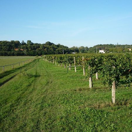Agriturismo Lupo Bianco Monzambano Dış mekan fotoğraf