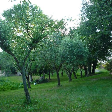 Agriturismo Lupo Bianco Monzambano Dış mekan fotoğraf