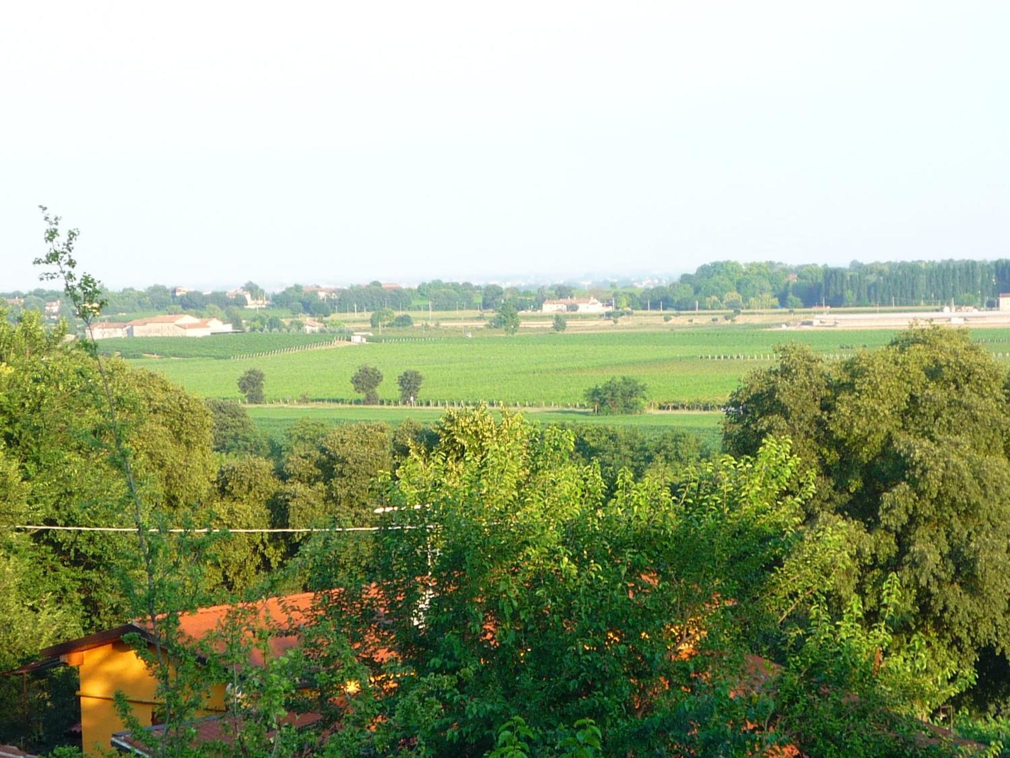 Agriturismo Lupo Bianco Monzambano Dış mekan fotoğraf