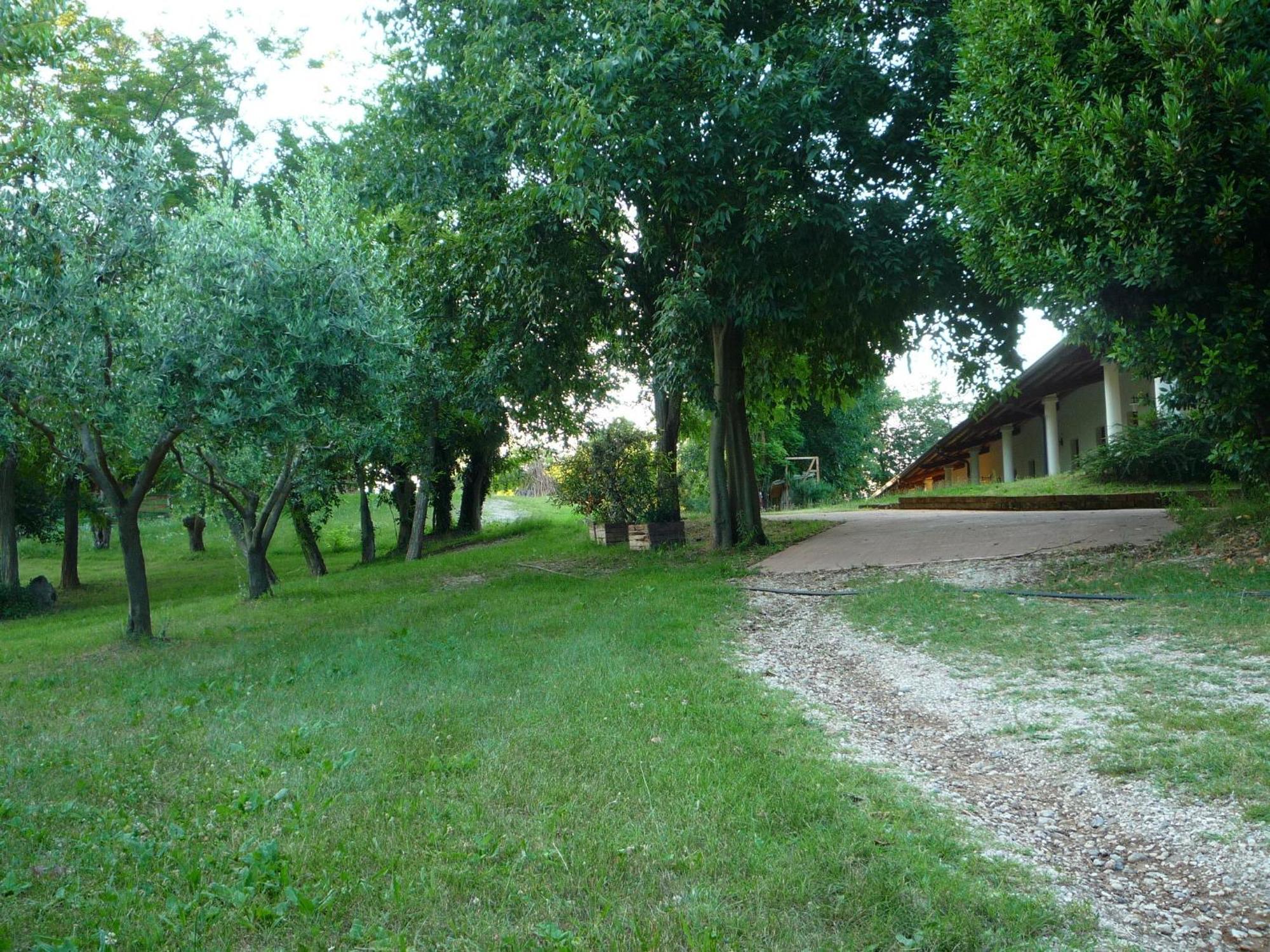 Agriturismo Lupo Bianco Monzambano Dış mekan fotoğraf