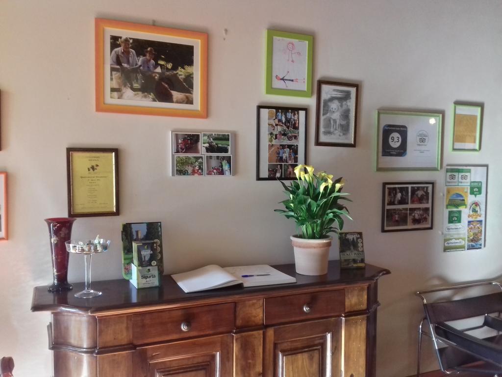Agriturismo Lupo Bianco Monzambano Dış mekan fotoğraf